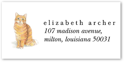 Orange Cat Love Address Label, White, Address Label, Matte, White