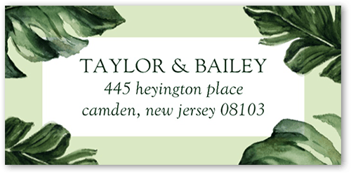 Watercolor Fronds Address Label, Green, Address Label, Matte, Green