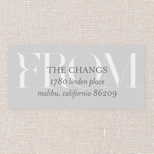 Essential Excitement Address Label, Grey, Address Label, Matte, Silver Lining