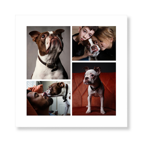 Gallery of Six Art Print, -No Frame-Multicolor-Signature Card Stock-12x12