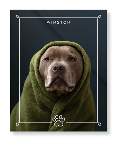 Paw Frame Art Print, -No Frame-White-Signature Card Stock-16x20
