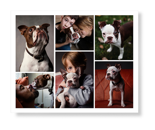Gallery of Six Art Print, -No Frame-Multicolor-Signature Card Stock-16x20