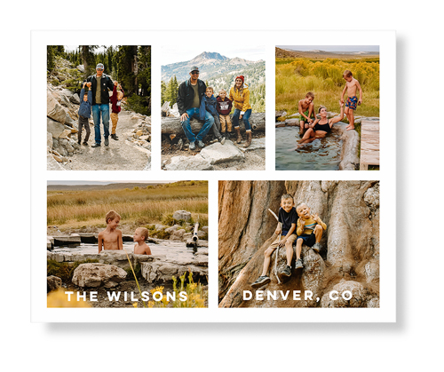 Vivid Wall Art Prints