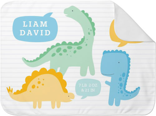 Dinosaur Fun Baby Blanket, frost