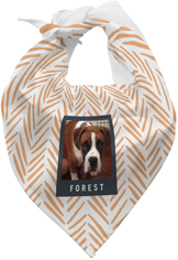 pet bandana shutterfly