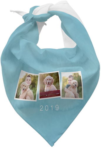 Pet Tilty Collage of Three Bandana