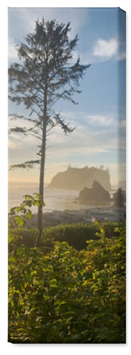 Photo Gallery Pano Portrait Wall Art, No Frame, Single piece, Canvas, 12x36, Multicolor