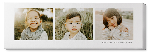 Three Of A Kind Wall Art, No Frame, Single piece, Canvas, 12x36, Multicolor, multi