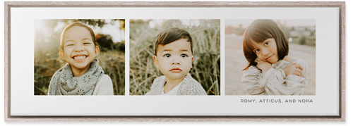 Three Of A Kind Wall Art, Rustic, Single piece, Canvas, 12x36, Multicolor