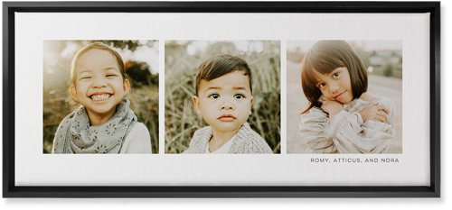 Three Of A Kind Wall Art, Black, Single piece, Canvas, 10x24, Multicolor