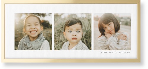 Three Of A Kind Wall Art, Gold, Single piece, Canvas, 10x24, Multicolor, multi