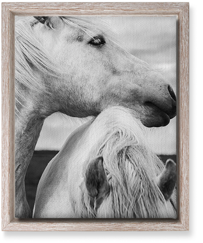 Black and White Horses Wall Art, Rustic, Single piece, Canvas, 8x10, Multicolor