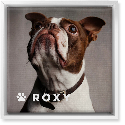 Portrait of a Pet Wall Art, White, Single piece, Canvas, 12x12, White