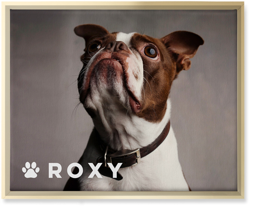 Portrait of a Pet Wall Art, Gold, Single piece, Canvas, 16x20, White