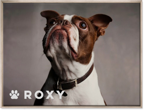 Portrait of a Pet Wall Art, Metallic, Single piece, Canvas, 30x40, White