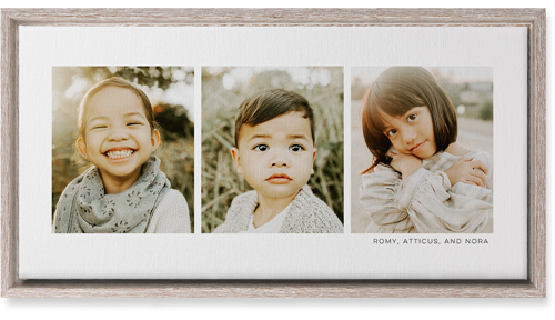 Three Of A Kind Wall Art, Rustic, Single piece, Canvas, 10x20, Multicolor