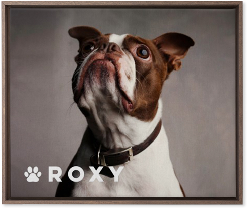 Portrait of a Pet Wall Art, Walnut, Single piece, Canvas, 20x24, White