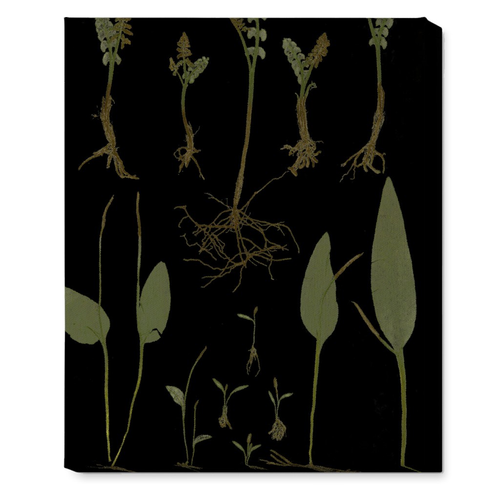 Botanicals At Midnight - Black and Green Wall Art, No Frame, Single piece, Canvas, 16x20, Black