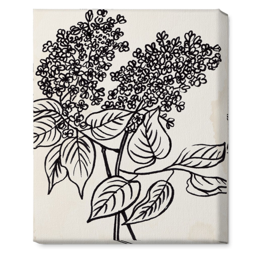 Vintage Lilac Sketch - Beige and Black Wall Art, No Frame, Single piece, Canvas, 16x20, Beige