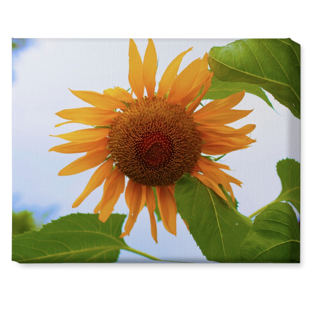 Sunny Sunflower - Yellow Wall Art, No Frame, Single piece, Canvas, 16x20, Yellow