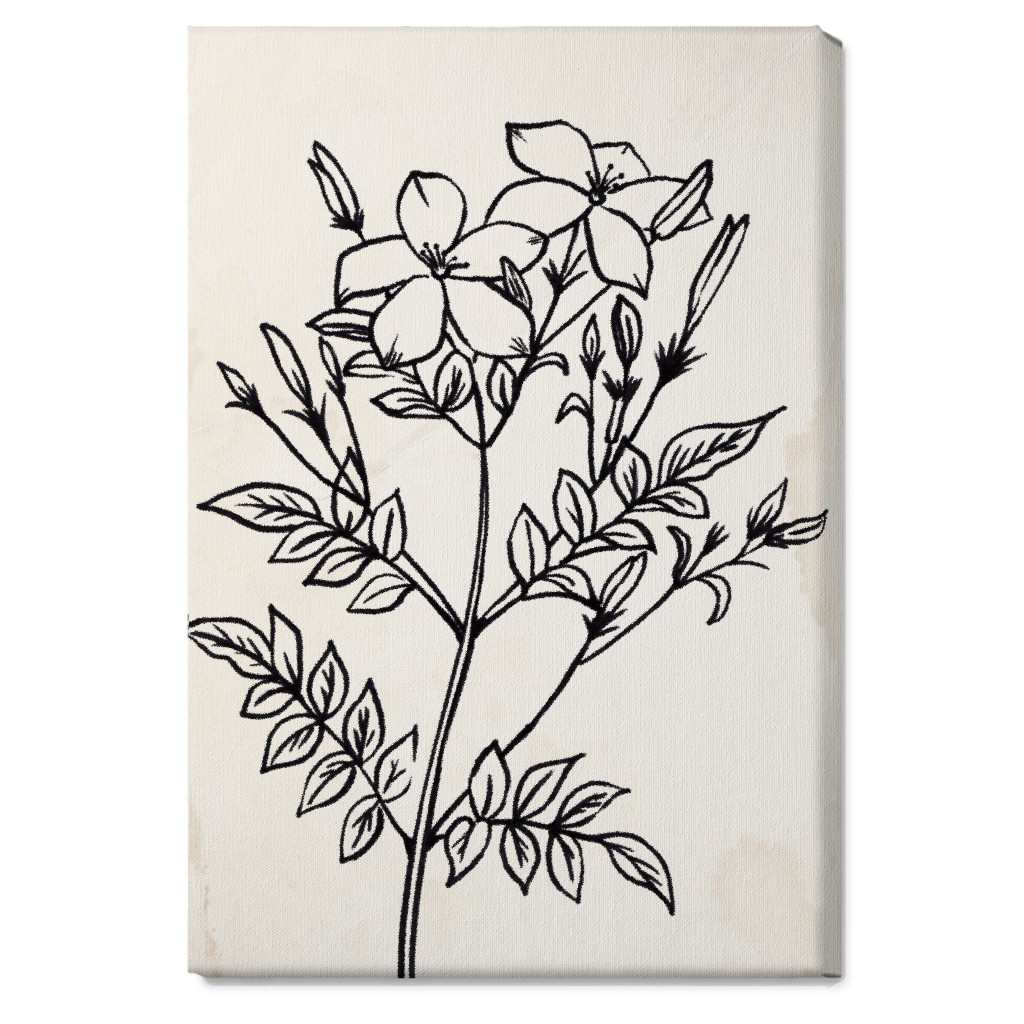 Vintage Jasmine Sketch - Beige and Black Wall Art, No Frame, Single piece, Canvas, 20x30, Beige, Pearl