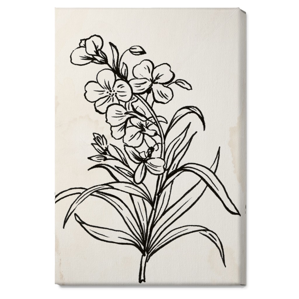 Vintage Wallflower Sketch - Beige and Black Wall Art, No Frame, Single piece, Canvas, 20x30, Beige