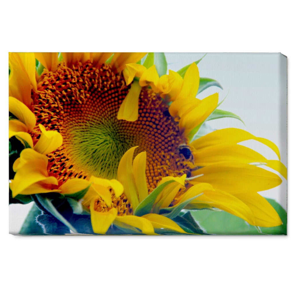 Sunflower and Bee - Yellow Wall Art, No Frame, Single piece, Canvas, 20x30, Yellow