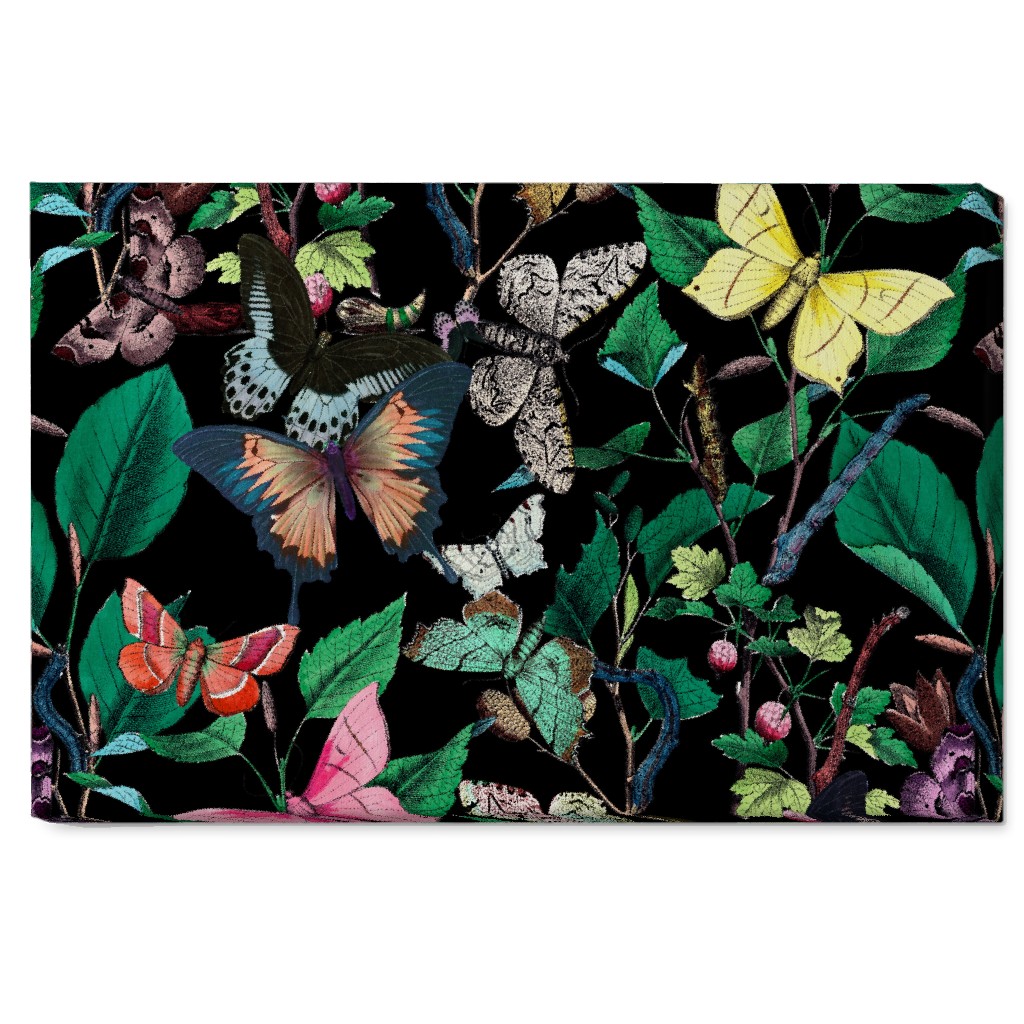 Butterfly Sanctuary - Bright on Black Wall Art, No Frame, Single piece, Canvas, 20x30, Multicolor