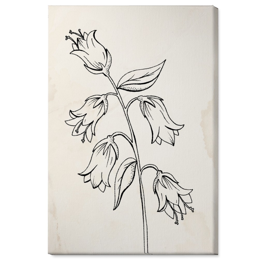Vintage Bell Flower Sketch - Beige and Black Wall Art, No Frame, Single piece, Canvas, 24x36, Beige
