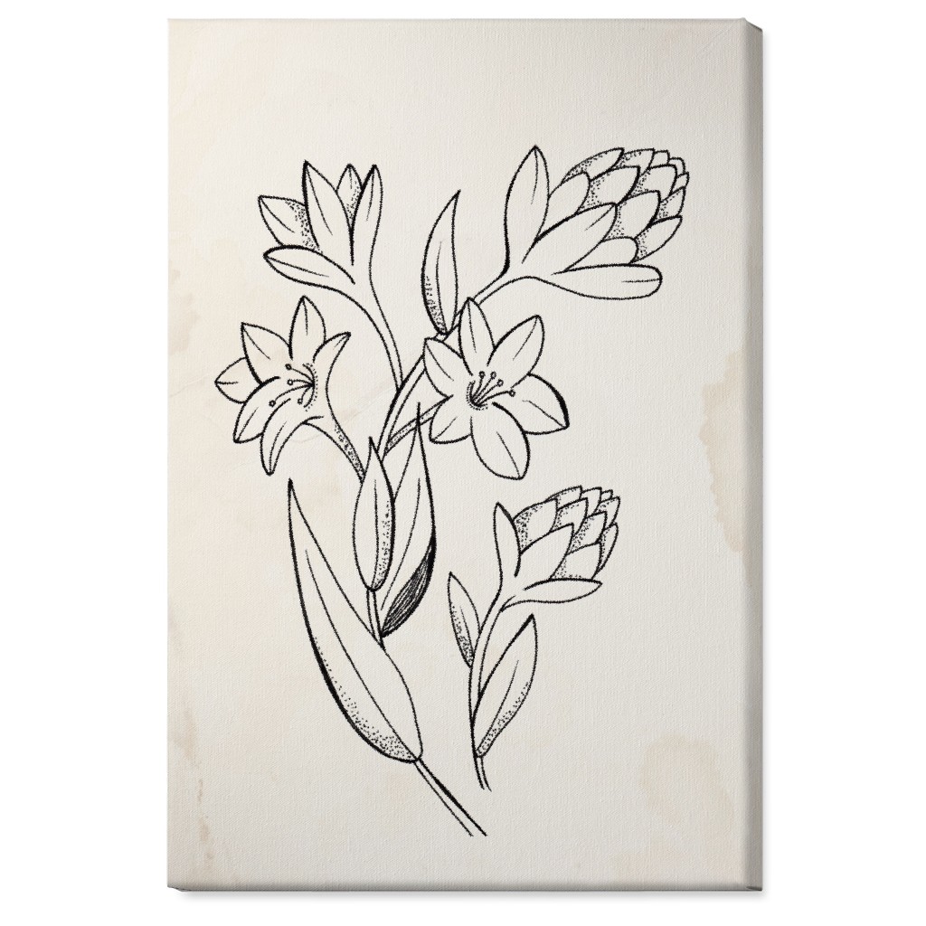 Vintage Tuberose Sketch - Beige and Black Wall Art, No Frame, Single piece, Canvas, 24x36, Beige, Pearl