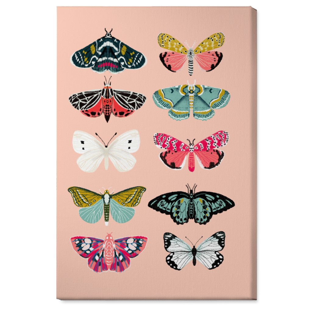 Moths & Butterflies Botanic Nature - Multi on Pink Wall Art, No Frame, Single piece, Canvas, 24x36, Multicolor