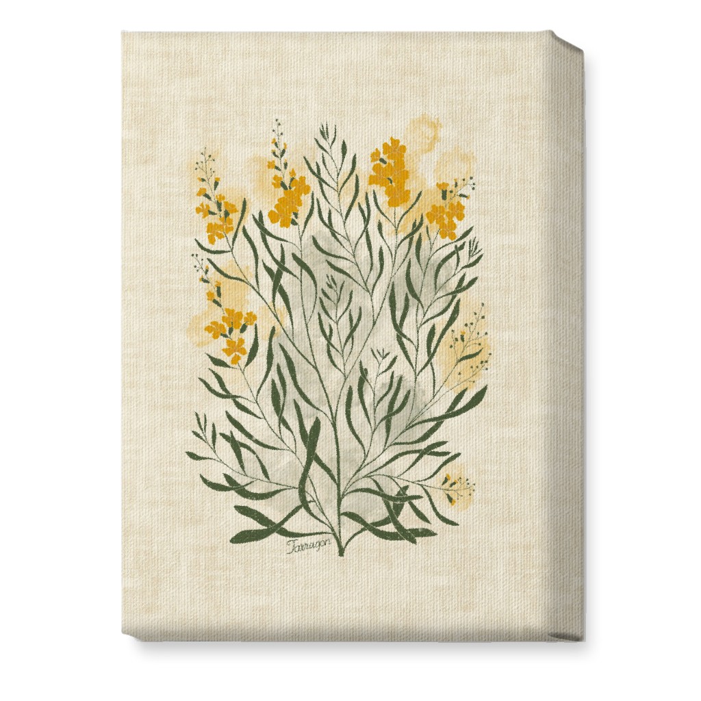 Tarragon - Botanical Illustration Wall Art, No Frame, Single piece, Canvas, 10x14, Beige, Pearl