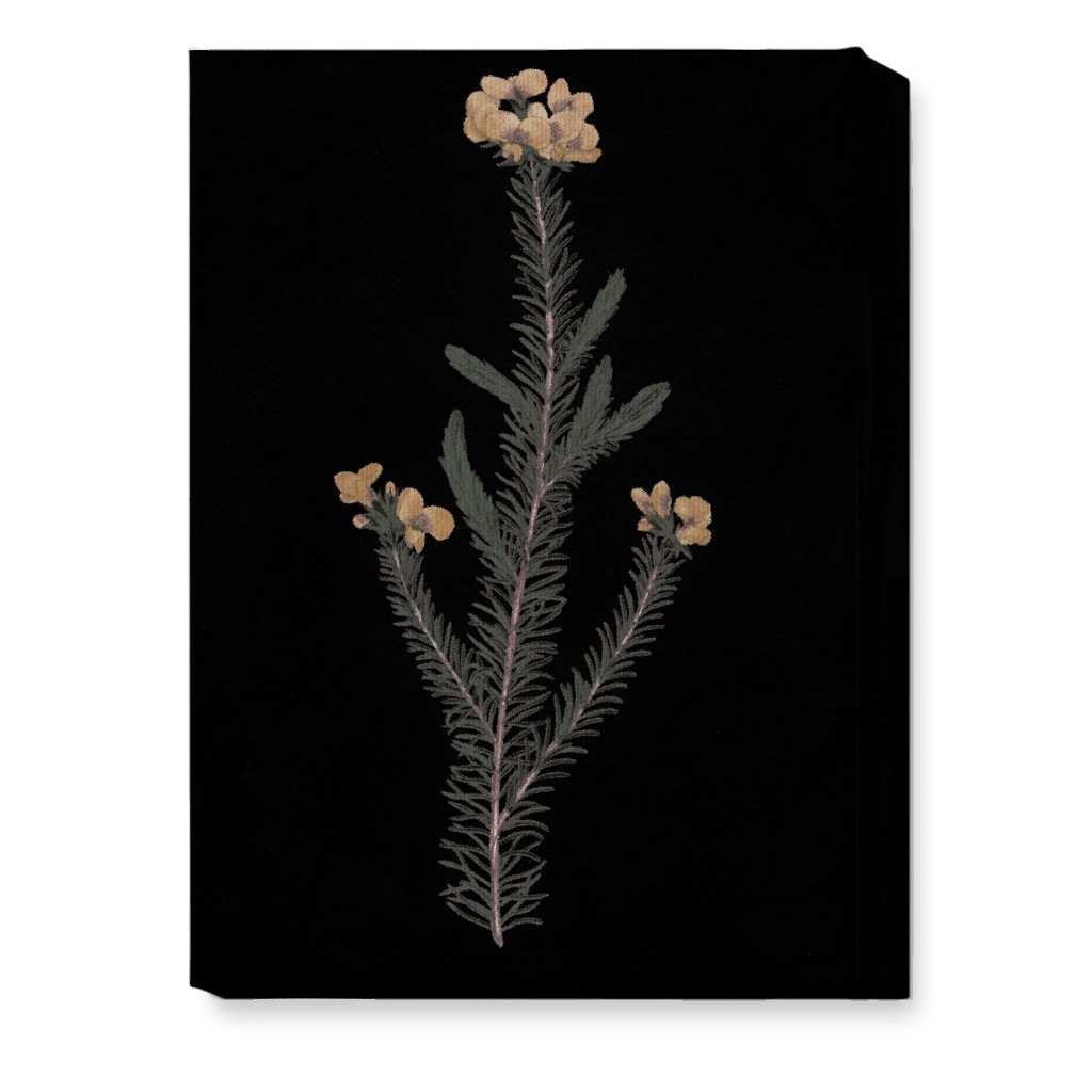 Midnight Botanical - Black and Green Wall Art, No Frame, Single piece, Canvas, 10x14, Black, Black