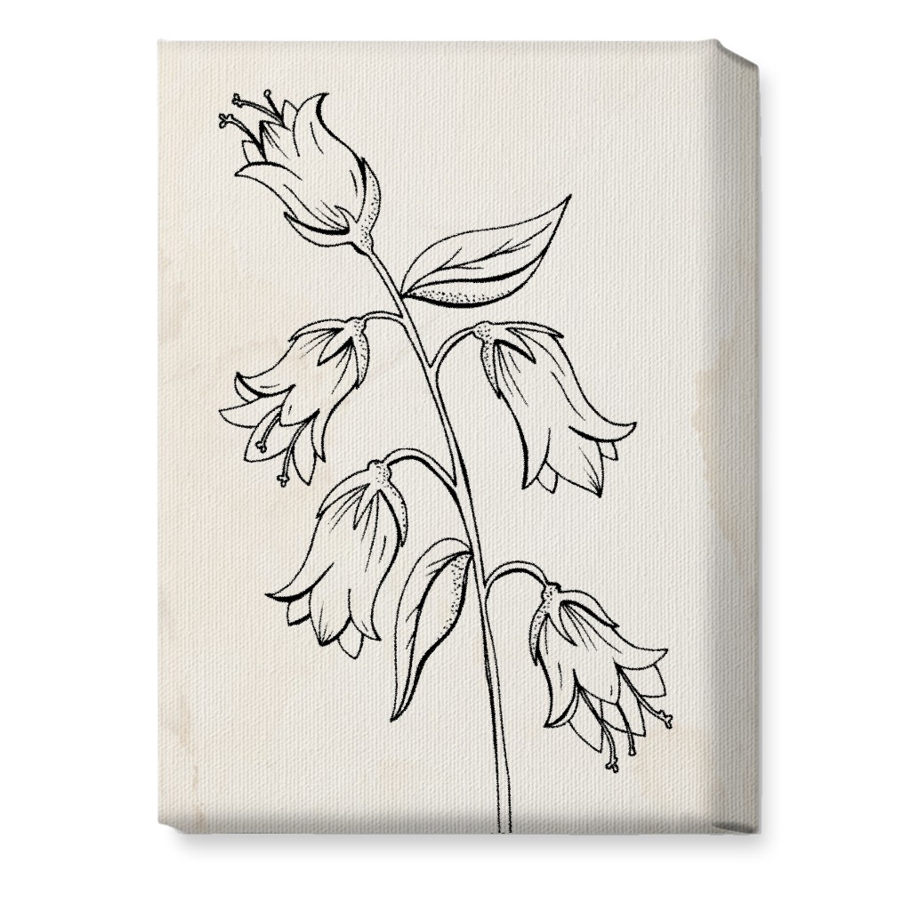 Vintage Bell Flower Sketch - Beige and Black Wall Art, No Frame, Single piece, Canvas, 10x14, Beige, Pearl