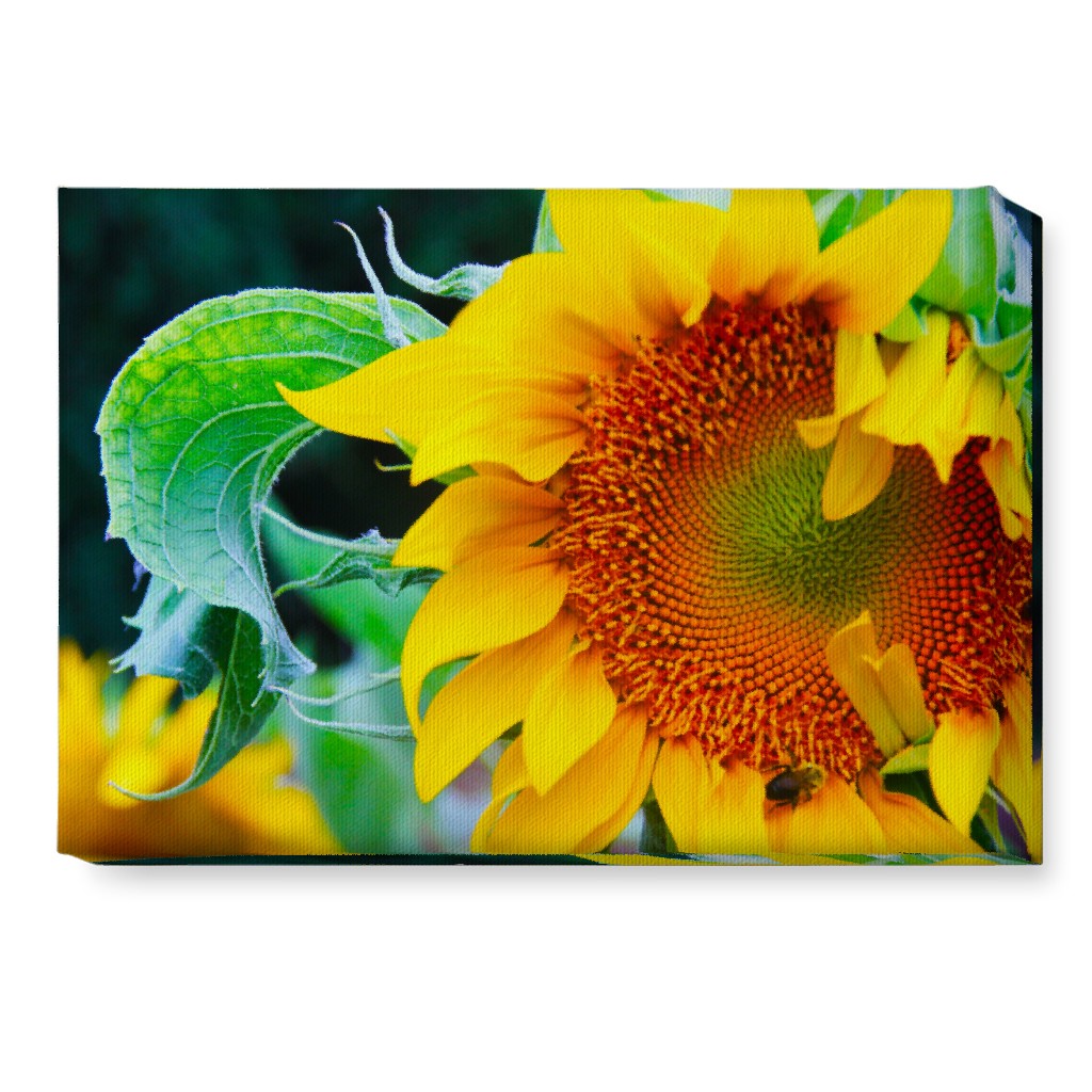 Big Sunflower - Yellow Wall Art, No Frame, Single piece, Canvas, 10x14, Yellow