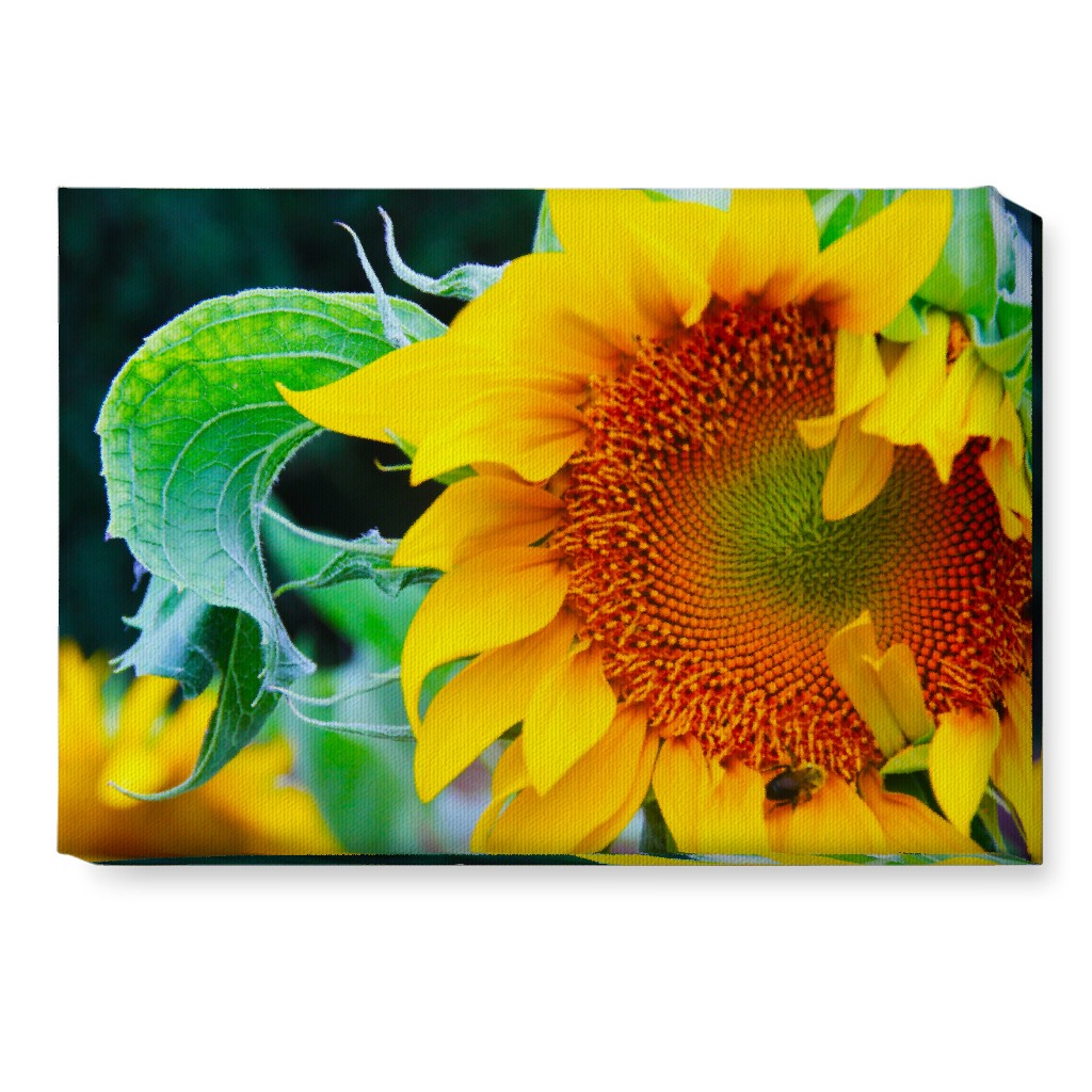 Big Sunflower - Yellow Wall Art, No Frame, Single piece, Canvas, 10x14, Yellow, Classic Yellow