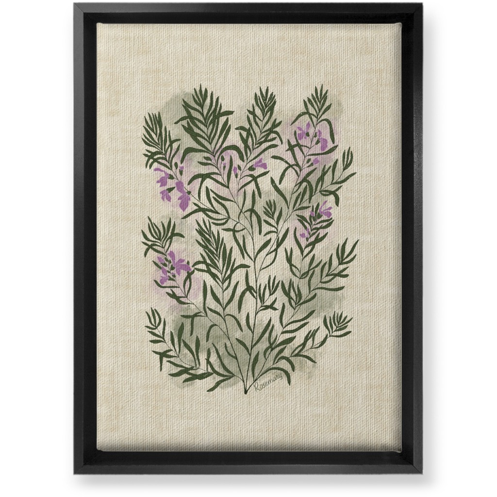 Rosemary - Botanical Illustration Wall Art, Black, Single piece, Canvas, 10x14, Beige, Pearl