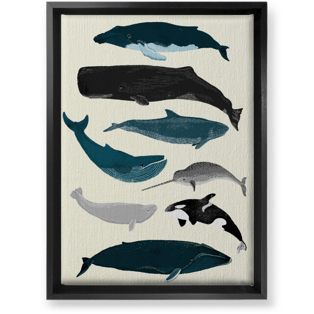 Ocean Whales on White Wall Art, Black, Single piece, Canvas, 10x14, Blue