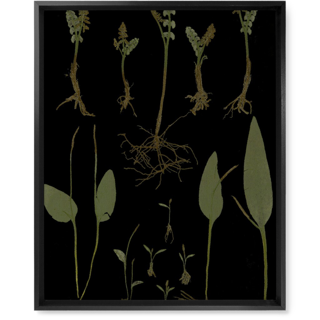 Botanicals At Midnight - Black and Green Wall Art, Black, Single piece, Canvas, 16x20, Black, Black