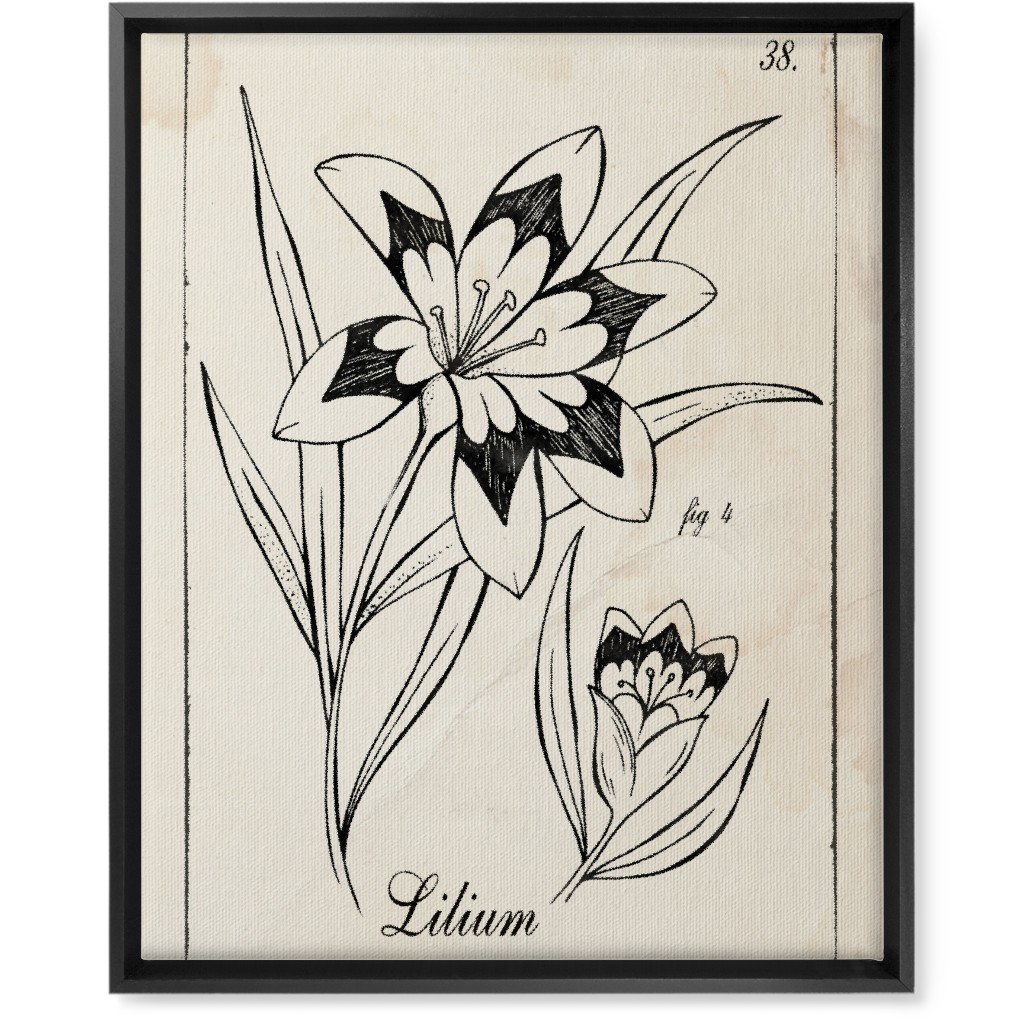 Vintage Plate Lily Sketch - Beige and Black Wall Art, Black, Single piece, Canvas, 16x20, Beige, Pearl