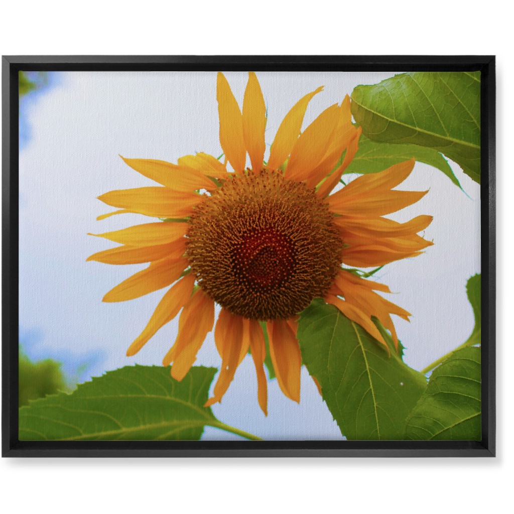 Sunny Sunflower - Yellow Wall Art, Black, Single piece, Canvas, 16x20, Yellow, Classic Yellow