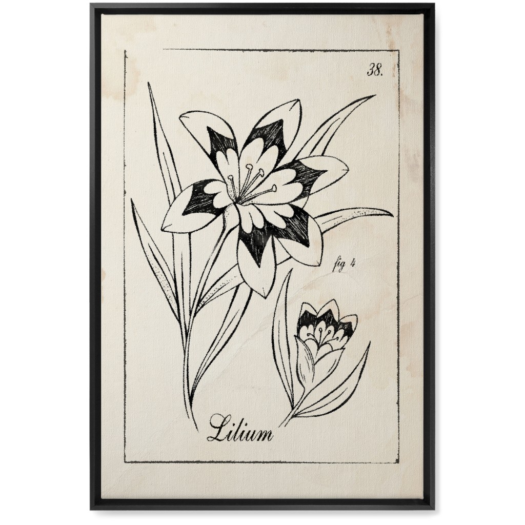 Vintage Plate Lily Sketch - Beige and Black Wall Art, Black, Single piece, Canvas, 20x30, Beige