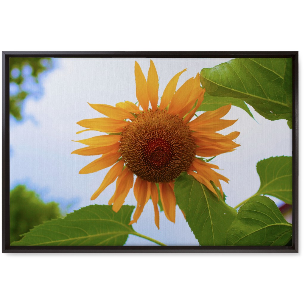 Sunny Sunflower - Yellow Wall Art, Black, Single piece, Canvas, 20x30, Yellow, Classic Yellow
