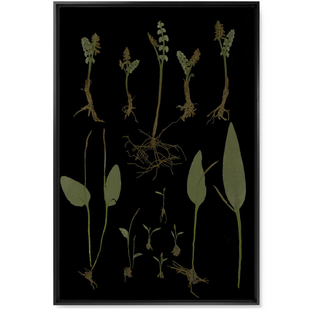 Botanicals At Midnight - Black and Green Wall Art, Black, Single piece, Canvas, 24x36, Black