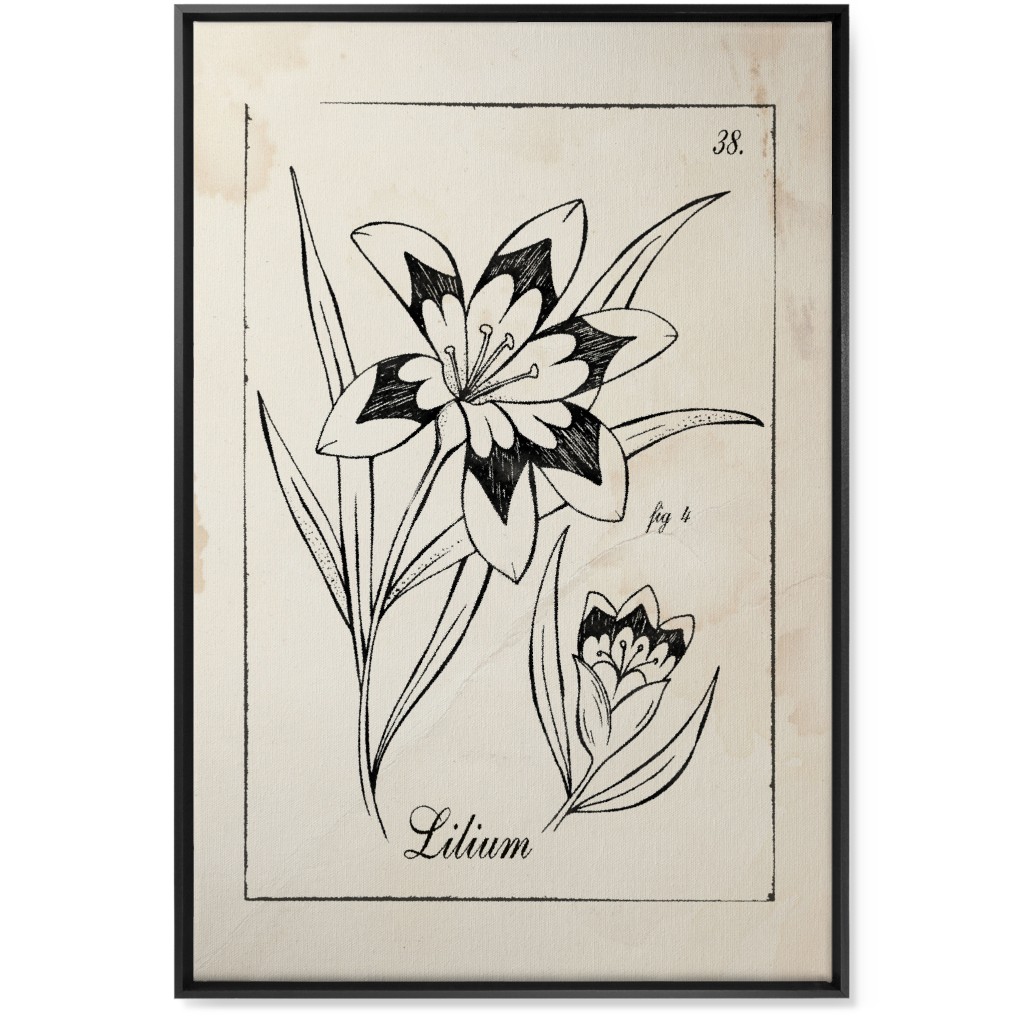 Vintage Plate Lily Sketch - Beige and Black Wall Art, Black, Single piece, Canvas, 24x36, Beige
