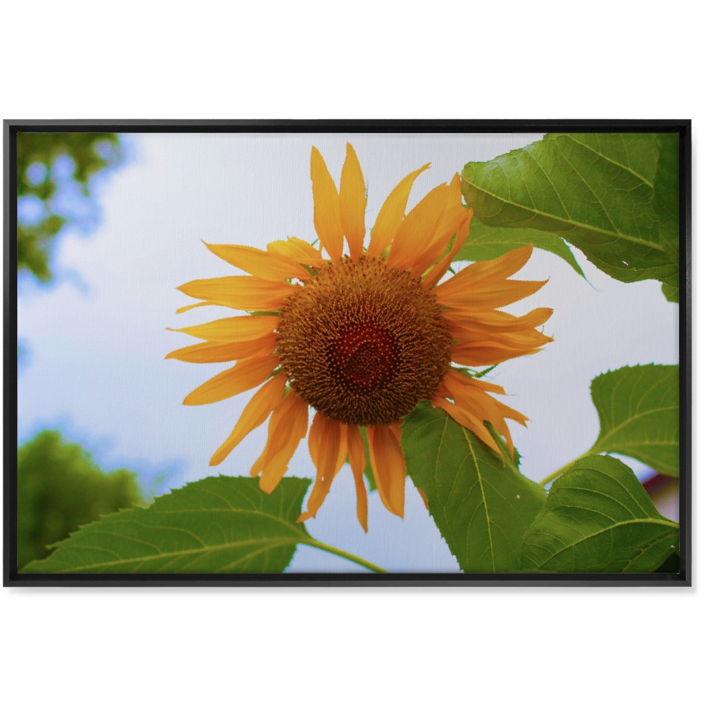 Sunny Sunflower - Yellow Wall Art, Black, Single piece, Canvas, 24x36, Yellow, Classic Yellow