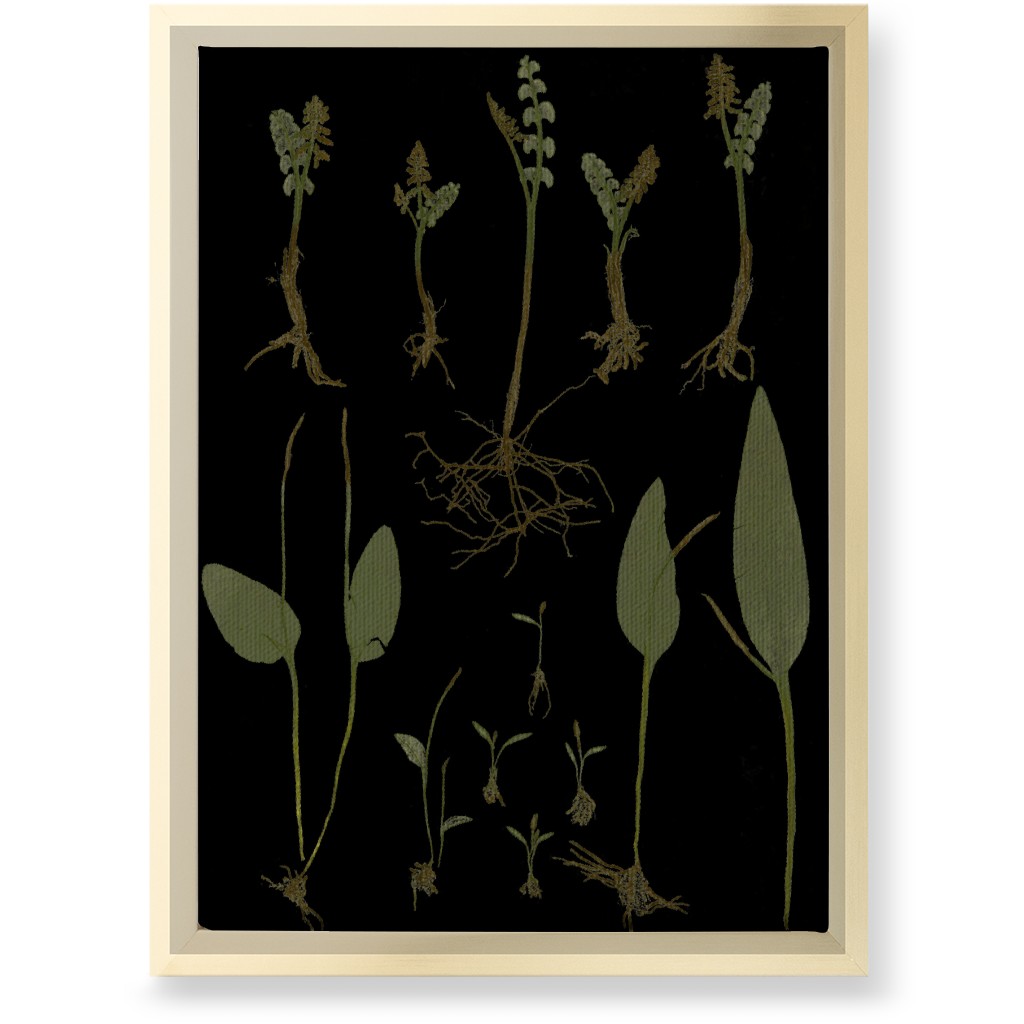 Botanicals At Midnight - Black and Green Wall Art, Gold, Single piece, Canvas, 10x14, Black, Black