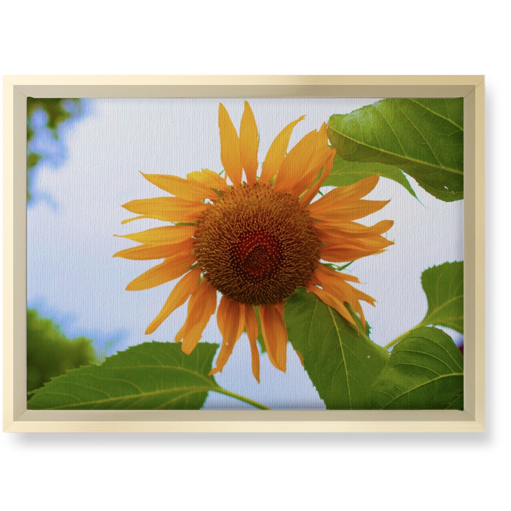 Sunny Sunflower - Yellow Wall Art, Gold, Single piece, Canvas, 10x14, Yellow