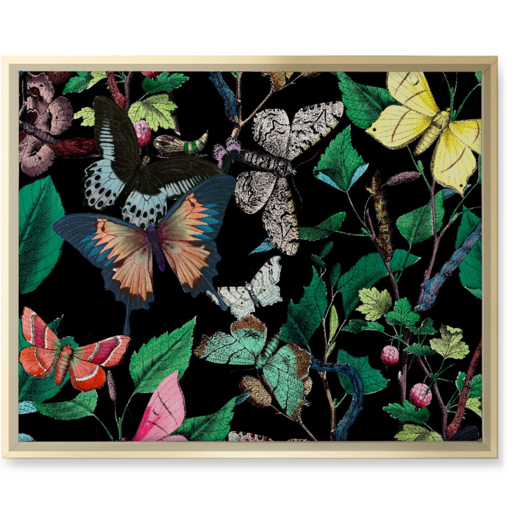 Butterfly Sanctuary - Bright on Black Wall Art, Gold, Single piece, Canvas, 16x20, Multicolor