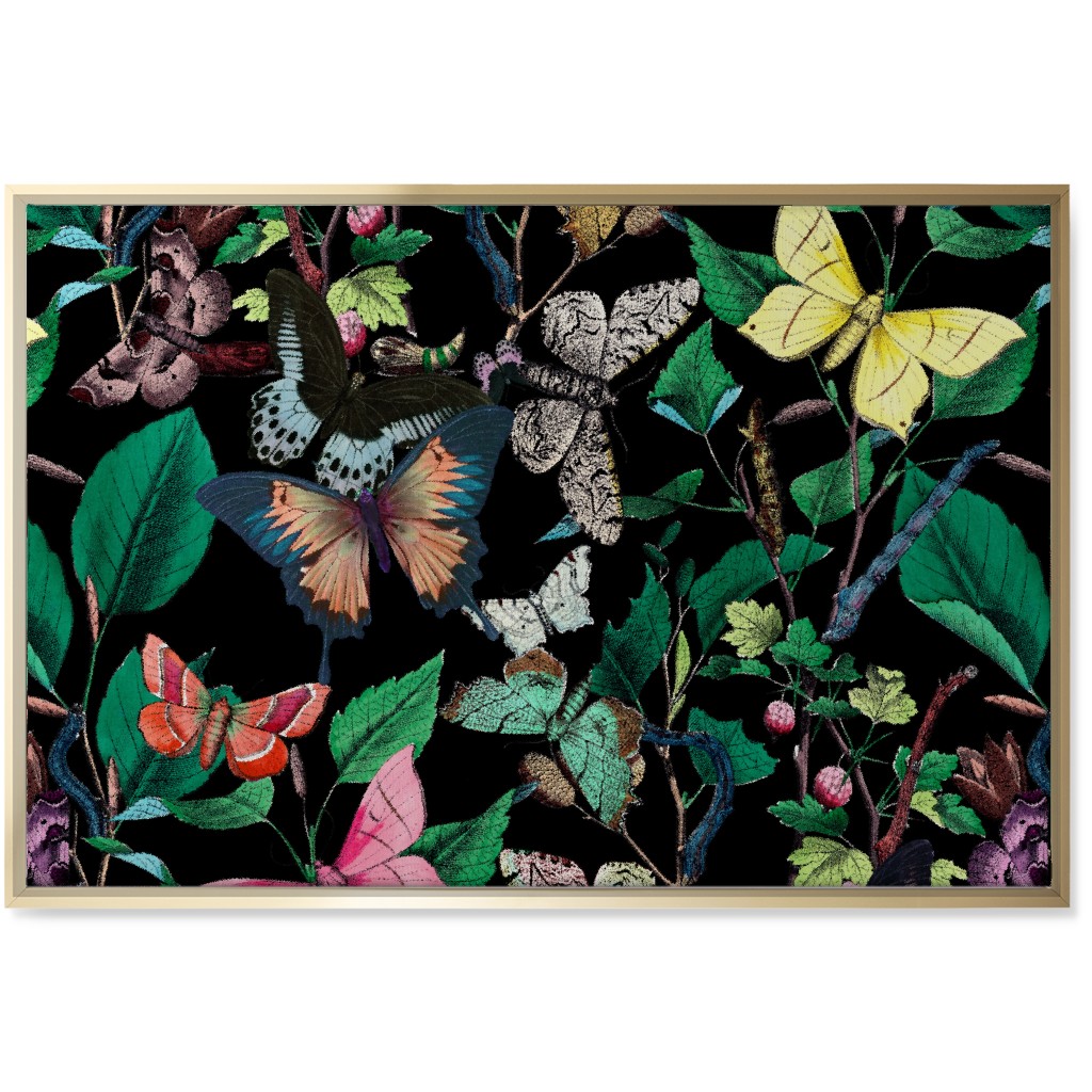 Butterfly Sanctuary - Bright on Black Wall Art, Gold, Single piece, Canvas, 24x36, Multicolor